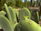 photo thumbnail #9