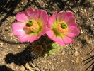 photo thumbnail #11