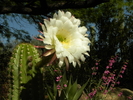 photo thumbnail #14