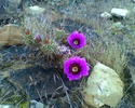 photo thumbnail #2