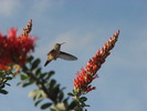 photo thumbnail #1