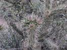 photo thumbnail #8