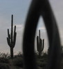 photo thumbnail #9
