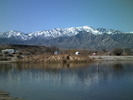 photo thumbnail #15