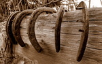 photo thumbnail #10