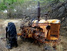 photo thumbnail #11