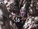 photo thumbnail #2
