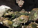 photo thumbnail #15