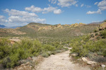 photo thumbnail #1