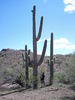 photo thumbnail #2
