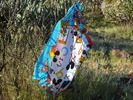 photo thumbnail #4