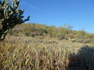 photo thumbnail #5