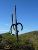 photo thumbnail #7