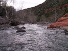 recent photo