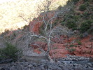 photo thumbnail #11