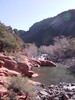 photo thumbnail #14