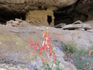 photo thumbnail #10