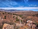 photo thumbnail #2