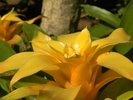 photo thumbnail #14