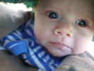 photo thumbnail #4