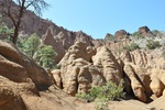 photo thumbnail #8