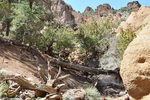 photo thumbnail #9