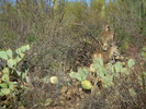 photo thumbnail #4
