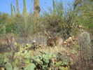 photo thumbnail #5