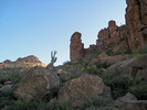 recent photo