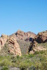 photo thumbnail #4