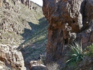 photo thumbnail #2