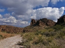 photo thumbnail #5