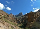 photo thumbnail #8