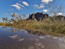 photo thumbnail #10