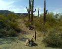 photo thumbnail #7