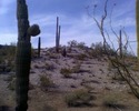 photo thumbnail #8