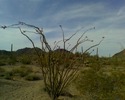 photo thumbnail #9