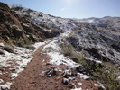 photo thumbnail #4