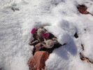 photo thumbnail #6
