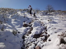 photo thumbnail #8