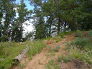 photo thumbnail #11