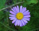 photo thumbnail #12