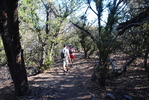 photo thumbnail #3