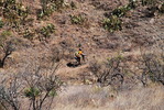 photo thumbnail #8