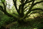 photo thumbnail #13
