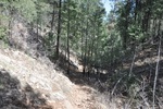 photo thumbnail #5
