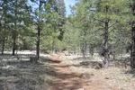 photo thumbnail #7