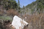 photo thumbnail #13