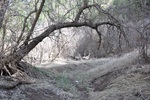 photo thumbnail #15