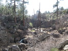 photo thumbnail #4